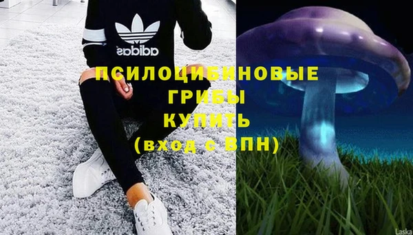 мяу мяу мука Каменка