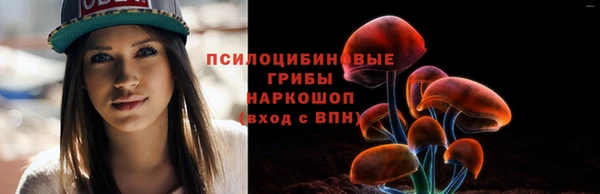 эйфоретик Каменногорск