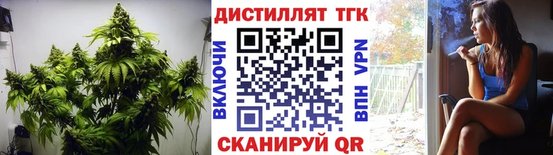 Дистиллят ТГК THC oil  Купить закладки  Искитим 